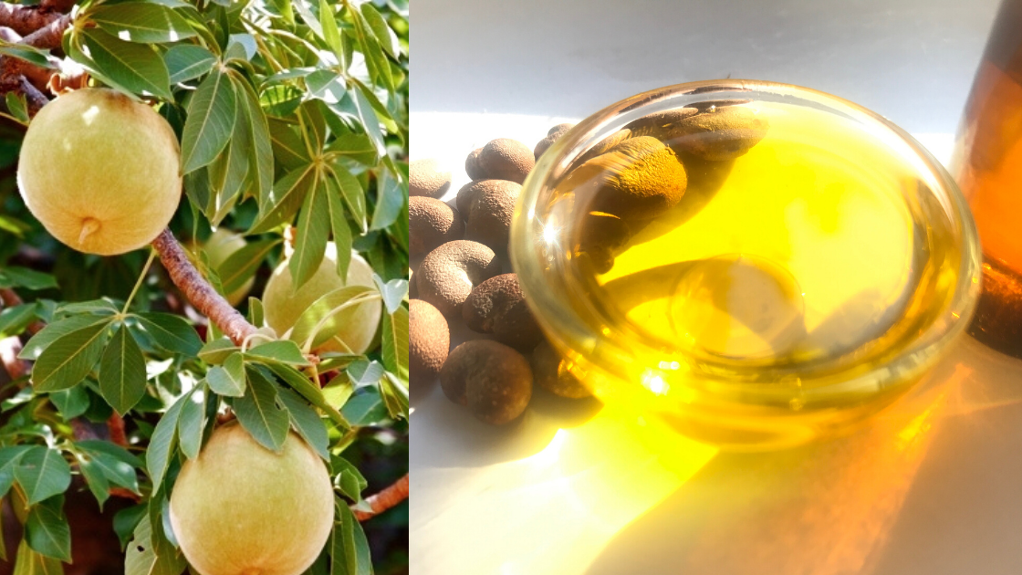 BAOBAB organic, carrier oil - BioAromatica