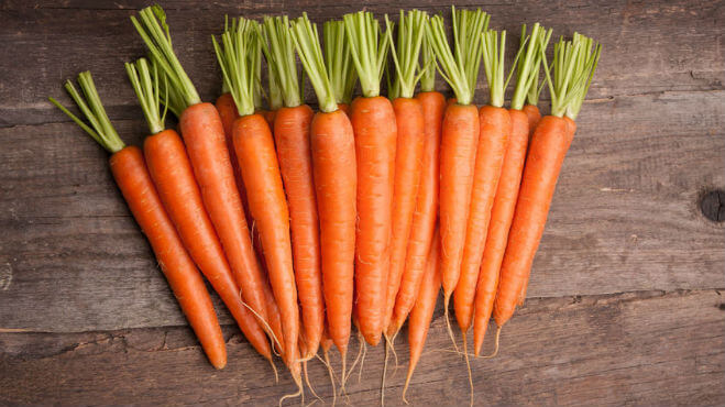 Carrot Herbal oil organic (macerated / infused in Baobab oil) - BioAromatica